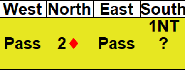 bridge video image